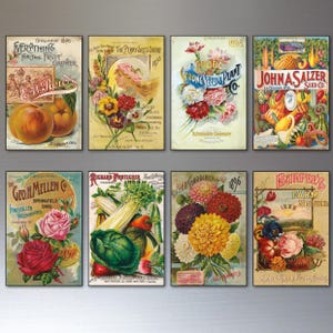 Puede incluir: Una colección de ocho portadas de catálogos de semillas vintage con ilustraciones botánicas de frutas, verduras y flores. Cada impresión rectangular muestra ilustraciones coloridas y detalladas con tipografía histórica, fechas y nombres de empresas como Salzer y Burpee.