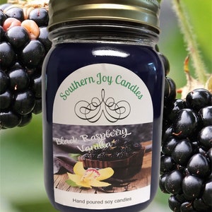 Black Raspberry Vanilla / Candle Handmade / Soy Candle
