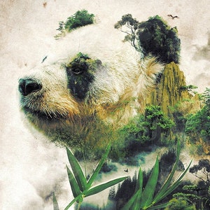 China Great Panda * Natural Bamboo Landscape Surrealism Animal painting * Premium Quality Giclée Prints, Canvas Wraps or Framed