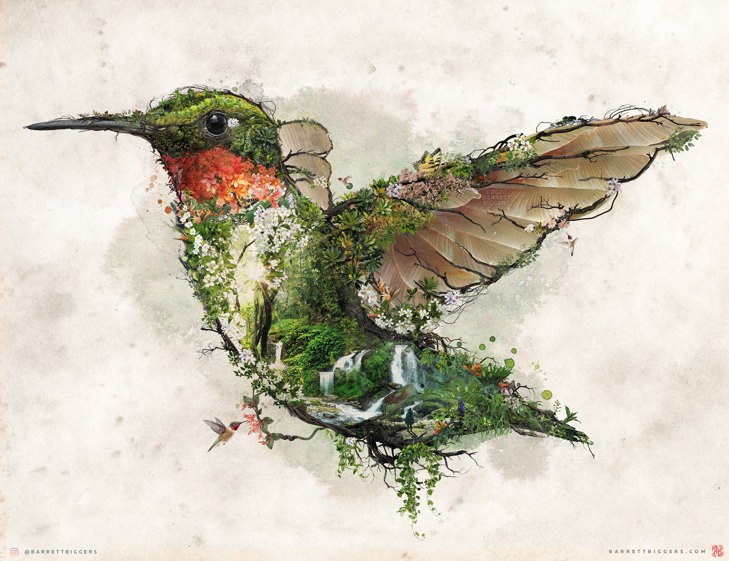 Ruby Throated Hummingbird C Art Print Home Decor Wall Art Poster Ruby Throated Hummingbird C Art Print Home Decor Wall Art Poster