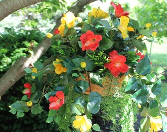 Silk Hanging Plant - Hibiscus Red and Yellow with Greens