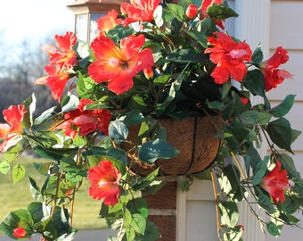 Silk Hanging Plant - Hibiscus Red