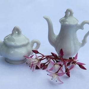 May include: A miniature white porcelain teapot and a matching lidded sugar bowl with two handles, arranged next to a small cluster of delicate pink and white star-shaped flowers with dark pink buds on a plain light background.