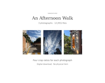 An Afternoon Walk, Set of 3 Printable Photos, Digital Download
