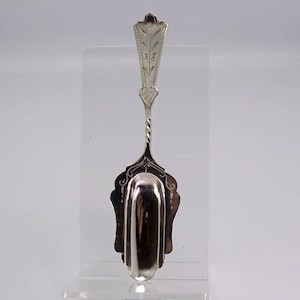 Pode incluir: Uma pá de servir em metal prateado com um cabo decorativo com um padrão de folhas gravado e uma secção de pescoço torcida. A concha da pá tem uma forma lisa e arredondada com detalhes de volutas gravados ao longo das bordas.