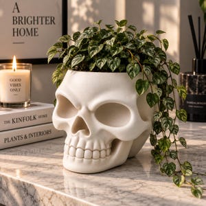 May include: A matte off-white skull-shaped planter containing a trailing green and silver variegated plant. The skull features deep eye sockets and a defined jawline, serving as a container for the foliage that cascades over the sides.