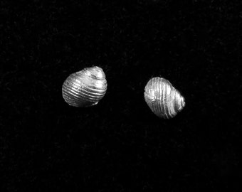She sells sea shells                                                                             - silver shell stud earrings