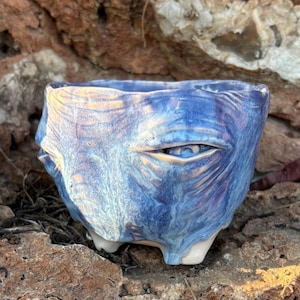 May include: A small, hand-sculpted ceramic planter featuring a glossy, marbled blue and purple glaze. The exterior surface is textured with organic, flowing ridges and includes a single, prominent sculpted eye detail on the front side.