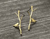 Turteltauben Ohrstecker | Gold