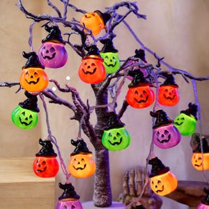 Könnte beinhalten: Eine Halloween-Lichterkette mit mehreren Kürbislaternen, die schwarze Hexenhüte tragen. Die Kürbisse sind in leuchtendem Orange, hellem Grün und Violett gehalten und haben jeweils ein geschnitztes Gesicht. Sie hängen an einem kahlen Ast.