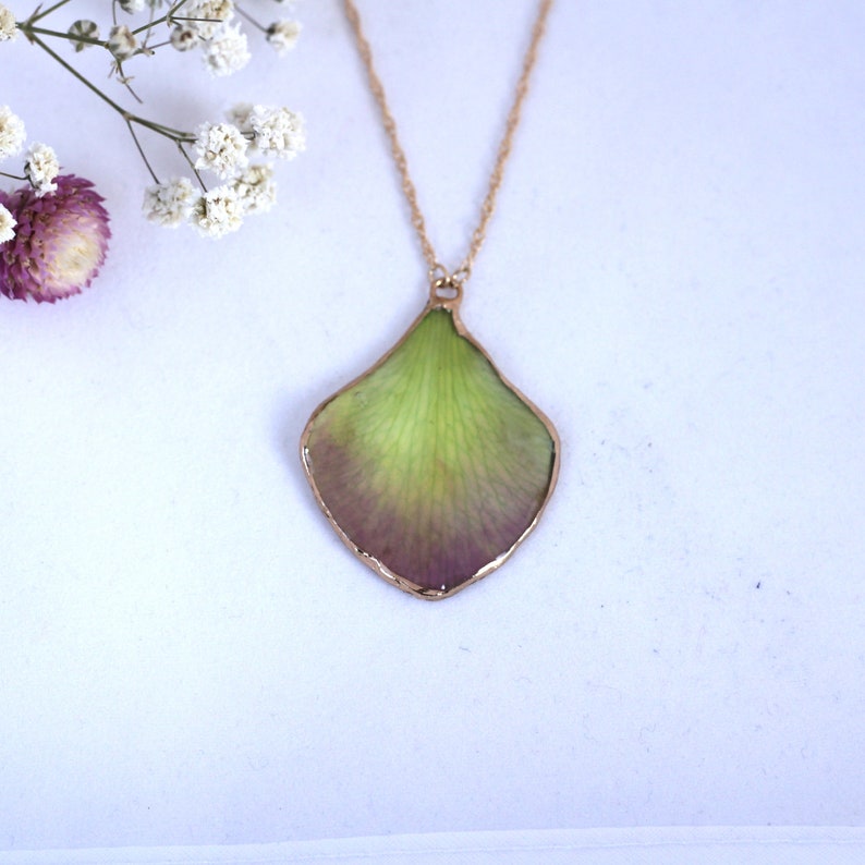 Orchid necklace Real orchid pendant necklace Real orchid petal necklace Birthday gifts for her Necklaces for women Real flower necklace gift