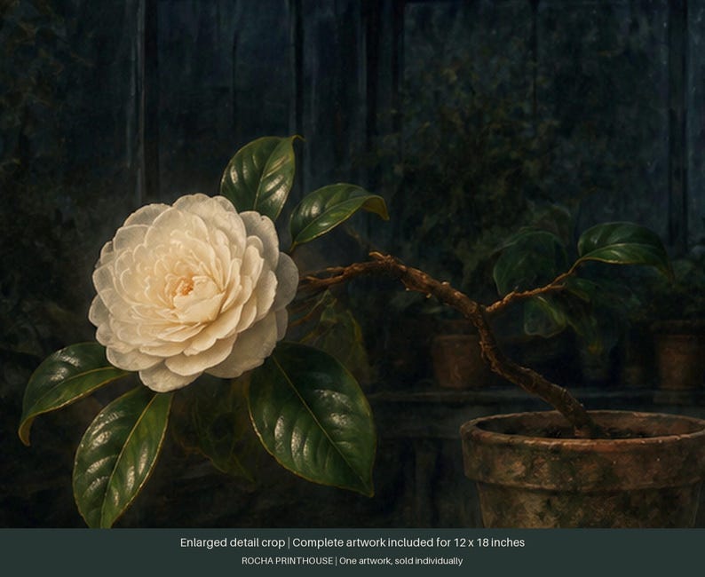 May include: A white camellia flower with layered petals and dark green leaves on a thin branch, planted in a terracotta pot. The text at the bottom reads: Enlarged detail crop | Complete artwork included for 12 x 18 inches ROCHA PRINTHOUSE | One artwork, sold individually.