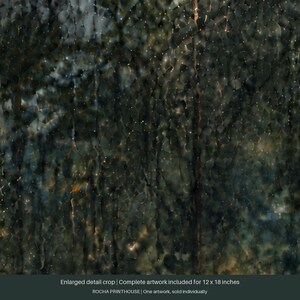 May include: A dark, moody digital artwork depicting a dense forest scene viewed through a rain-streaked window. The image features blurred green and brown foliage with scattered light reflections. Text at the bottom reads: Enlarged detail crop | Complete artwork included for 12 x 18 inches | ROCHA PRINTHOUSE | One artwork, sold individually.