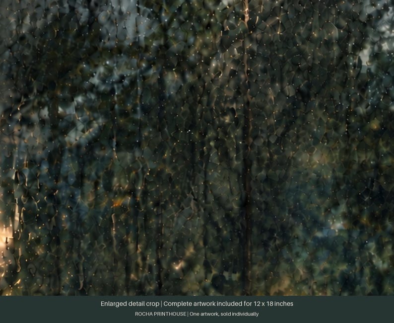 May include: A dark, moody digital artwork depicting a dense forest scene viewed through a rain-streaked window. The image features blurred green and brown foliage with scattered light reflections. Text at the bottom reads: Enlarged detail crop | Complete artwork included for 12 x 18 inches | ROCHA PRINTHOUSE | One artwork, sold individually.