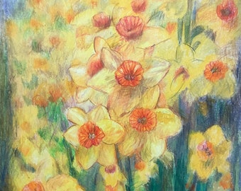 Yellow Spring Daffodil, Colour Pencil Art