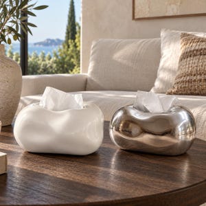 May include: Two rectangular tissue box covers with rounded, organic, blob-like shapes. One cover has a smooth, glossy white finish, while the other features a reflective, metallic silver surface. Both items have a central opening for tissues.