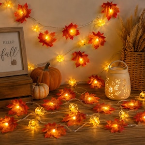 May include: A string of LED lights featuring orange and red fabric maple leaves and small clear pumpkin-shaped bulbs. The lights are arranged around two orange pumpkins, a wooden sign with the text "HELLO fall", and a white ceramic lantern.