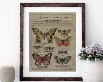 Butterfly and Moths Linen Print for Framing, French Mariposa Wall Art