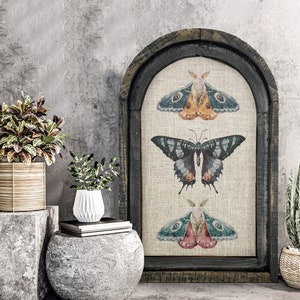 Butterflies and Moths Wall Decor | 14" x 22" | Insect Framed Art Print | Bohemian Wall Hanging | Eclectic Decor | Whimsical