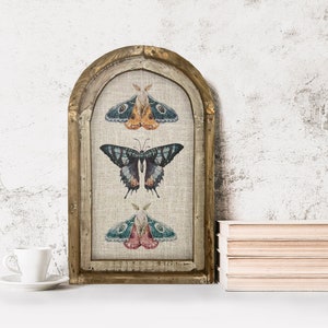 Butterflies and Moths Wall Decor | 14&quot; x 22&quot; | Insect Framed Art Print | Bohemian Wall Hanging | Eclectic Decor | Whimsical