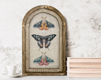 Butterfliy and Moths Wall Decor | 14" x 22" | Insect Framed Art Print | Bohemian Wall Hanging | Eclectic Decor | Whimsical