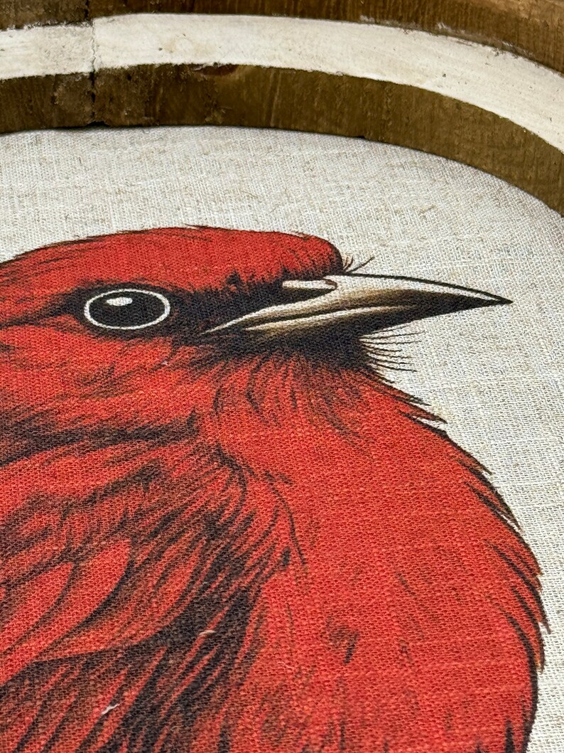 May include: Close-up of a red bird with a black eye and a white beak. The bird is depicted on a canvas with a brown wooden frame.