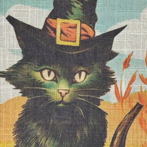 May include: A black cat wearing a witch's hat with a brown band and a gold buckle, sitting next to a large orange pumpkin.