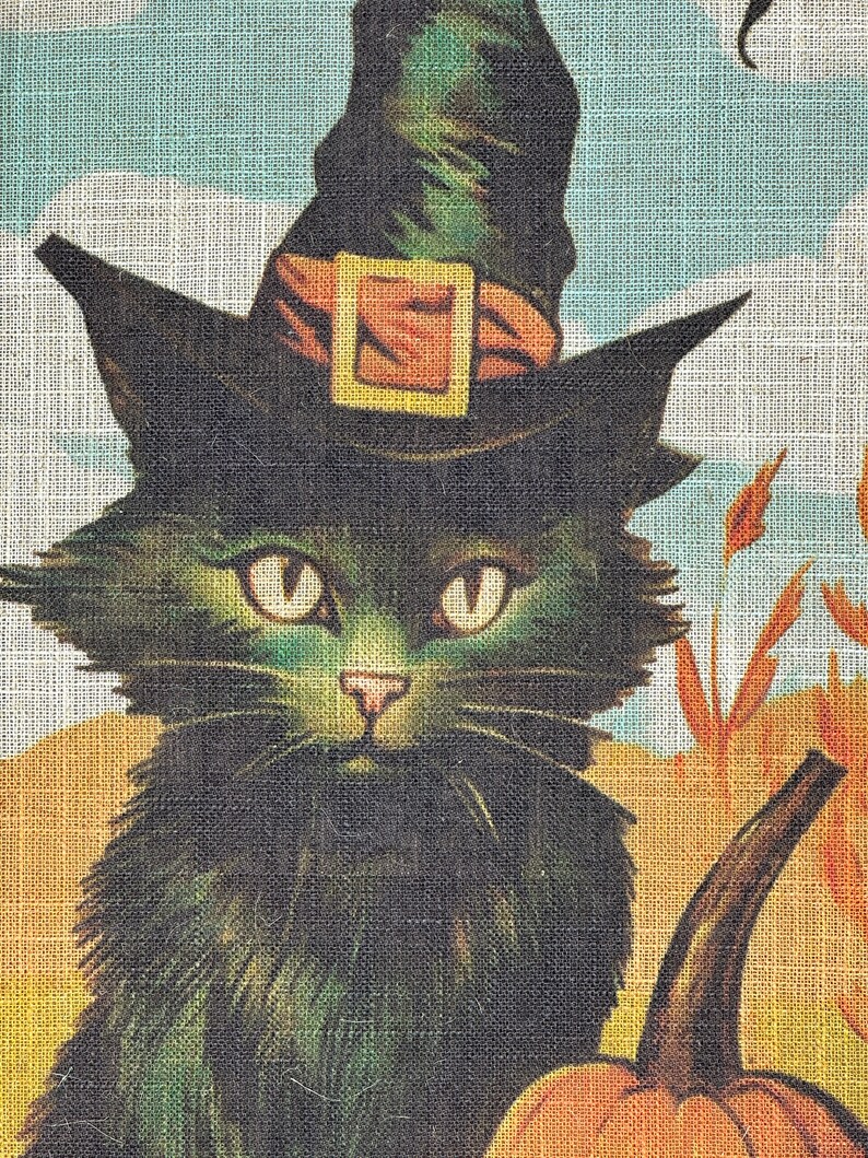 May include: A black cat wearing a witch's hat with a brown band and a gold buckle, sitting next to a large orange pumpkin.