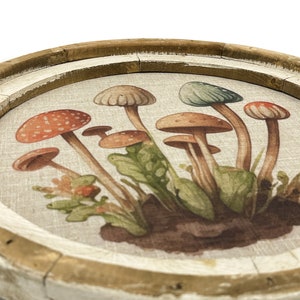 Mushroom Wall Decor | 20" x 20" | Woodland Wall Decor | Linen & Wood Handmade Art | Eclectic Decor | Floral bild 2