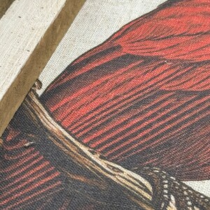 May include: Close-up of a red cardinal bird with black and white markings on its wings, perched on a branch. The bird is depicted on a canvas with a textured linen-like surface.