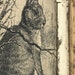 Rabbit Wall Art | 14