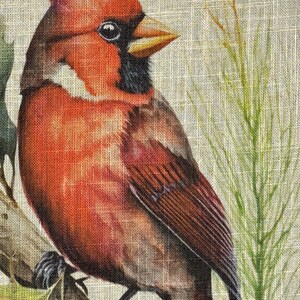 May include: A red cardinal bird perched on a branch with green leaves. The bird has a black eye and a yellow beak. The background is a beige burlap fabric.