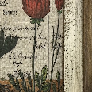 May include: A framed print of a vintage botanical illustration featuring red flowers with green leaves on a linen background. The frame is white with a distressed finish.
