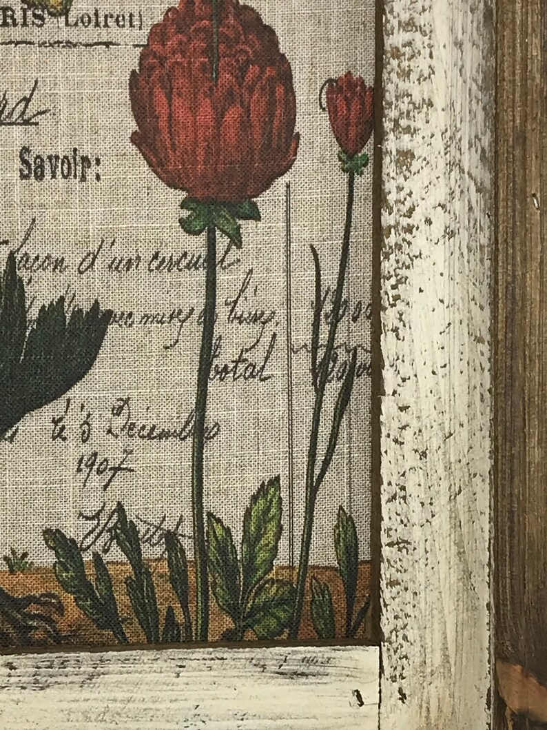 May include: A framed print of a vintage botanical illustration featuring red flowers with green leaves on a linen background. The frame is white with a distressed finish.