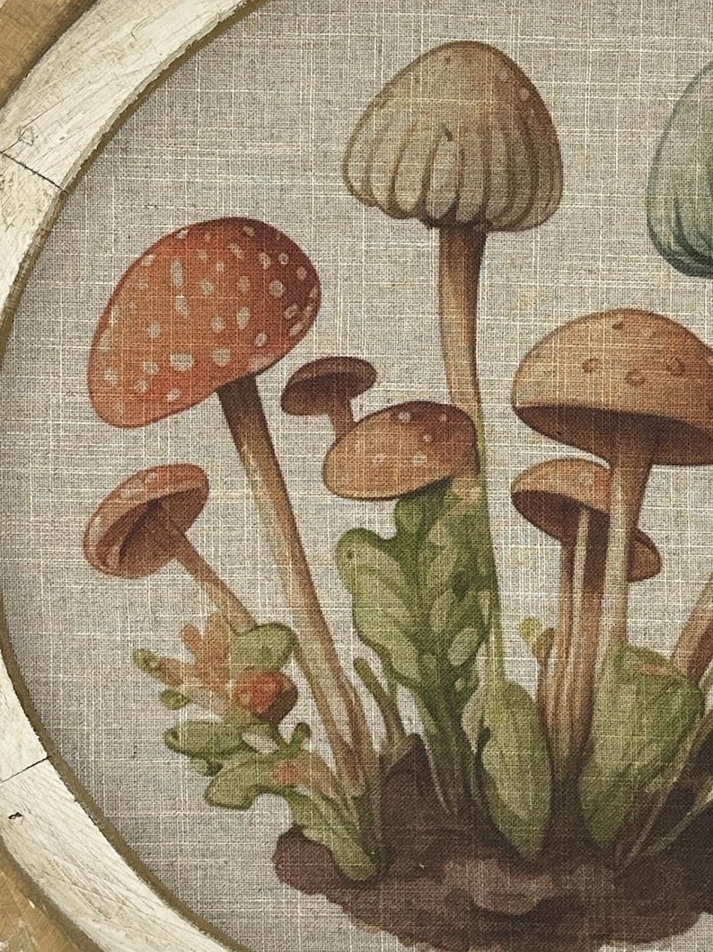 Mushroom Wall Decor | 20" x 20" | Woodland Wall Decor | Linen & Wood Handmade Art | Eclectic Decor | Floral bild 4