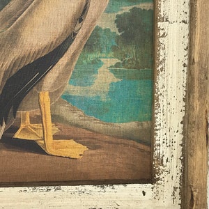 May include: A framed vintage print of a pelican standing on a wooden dock with a lake and trees in the background. The frame is white with brown wood trim.