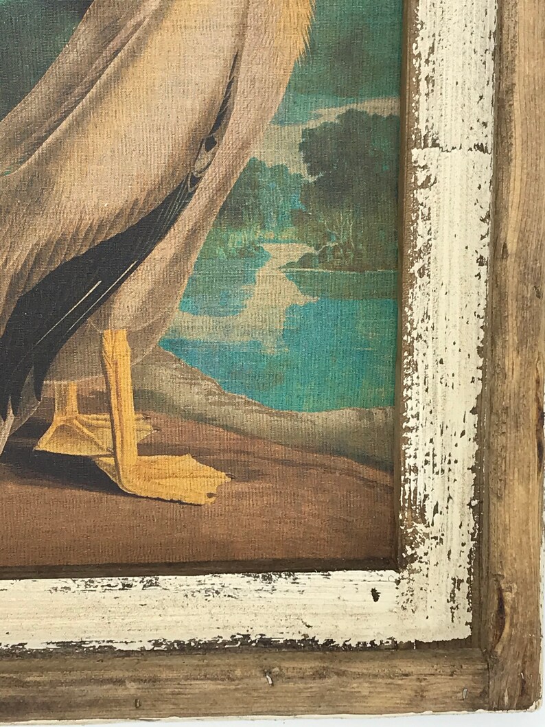 May include: A framed vintage print of a pelican standing on a wooden dock with a lake and trees in the background. The frame is white with brown wood trim.