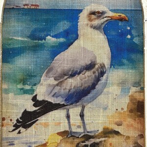 Op de afbeelding: Een witte meeuw met zwarte vleugelpunten staat op een rots met een blauwe zee en een zandstrand op de achtergrond.