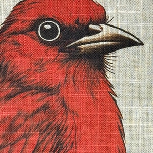 May include: Close-up of a red bird with a black eye and beak. The bird's feathers are detailed and textured, giving the image a realistic feel.