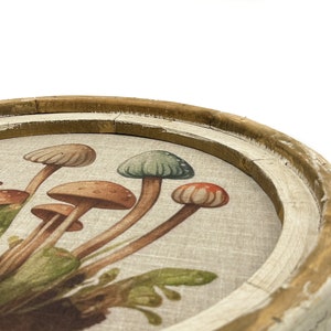 Mushroom Wall Decor | 20" x 20" | Woodland Wall Decor | Linen & Wood Handmade Art | Eclectic Decor | Floral bild 6