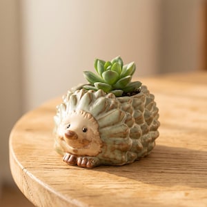 May include: A ceramic hedgehog-shaped planter with a glossy, light green and brown mottled glaze. The planter features a sculpted face and textured quills, containing a small, green, rosette-shaped succulent plant nestled in the top opening.