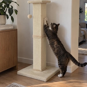 Puede incluir: Un rascador para gatos alto de color beige con base cuadrada y columna vertical envuelta en cuerda de sisal. Un pequeño juguete de bola beige cuelga de una cuerda unida a la plataforma superior. Un gato atigrado marrón rasca el poste.