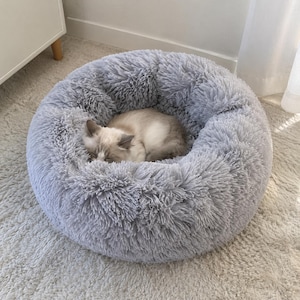 Pode incluir: Uma cama redonda para animais de estimação, de cor cinza-claro, com uma textura espessa e felpuda de pele sintética. Um gato pequeno de pelo comprido, de cor creme e castanho-claro, está enrolado e a dormir no centro da cama circular.