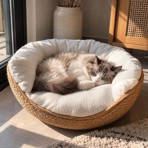 Könnte beinhalten: Ein rundes Haustierbett mit einer geflochtenen, hellbraunen Außenseite und einem weichen, cremefarbenen Kissen aus strukturiertem Stoff. Eine flauschige, langhaarige Katze mit grau-weißem Fell liegt zusammengerollt darin und schläft.