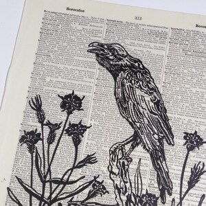 Raven and Corncockles - Original Hand-pulled Linocut Art Print - Botanical Illustration Herbal Art