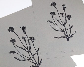 Corncockle - Linocut Art Print - Botanical Illustration Herbal Art