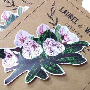 Vintage Orchidee Botanische Illustration - Vinyl Sticker Laptop Aufkleber