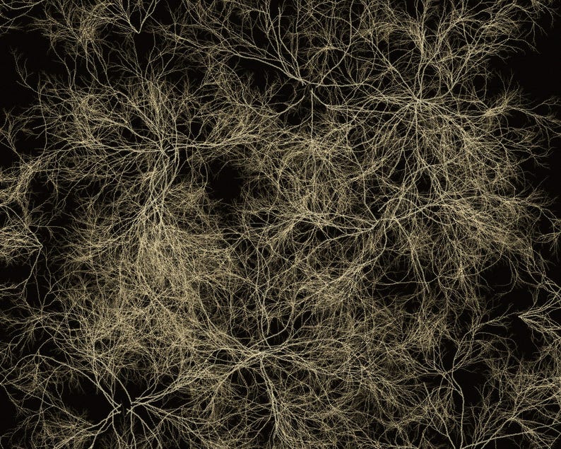 Puede incluir: Un patr&oacute;n repetitivo con estructuras ramificadas de color beige claro que recuerdan a ramas de &aacute;rboles desnudas o sistemas de ra&iacute;ces sobre un fondo negro s&oacute;lido. Las l&iacute;neas finas y delicadas se entrelazan por toda la superficie.