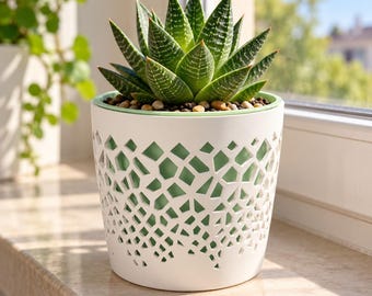 Cache-pot design bicolore ajouré, double paroi, pour plante grasse, Ø 9,7 cm