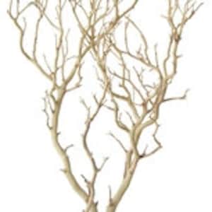 Sandblasted Manzanita Branch/Tree - 1 piece, 30" tall